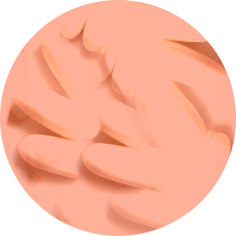 Lactobaccilus